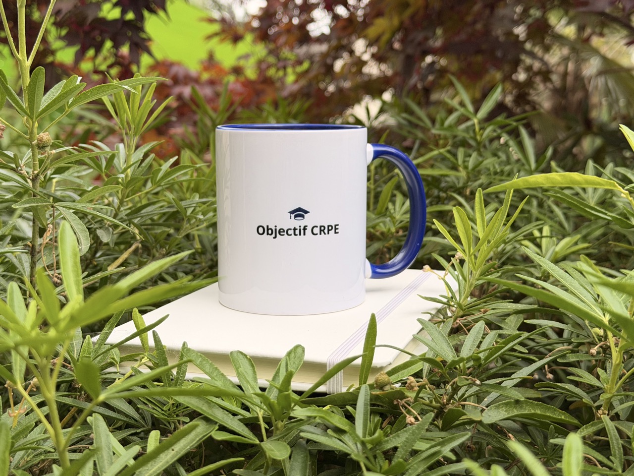 Mug Objectif CRPE